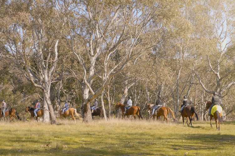 horse-riding-213254