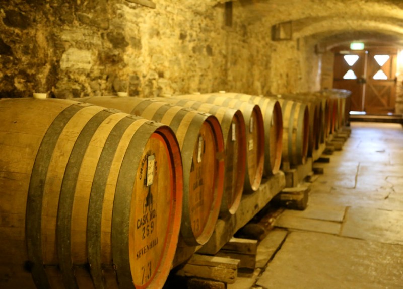 vineyard-tours-47425