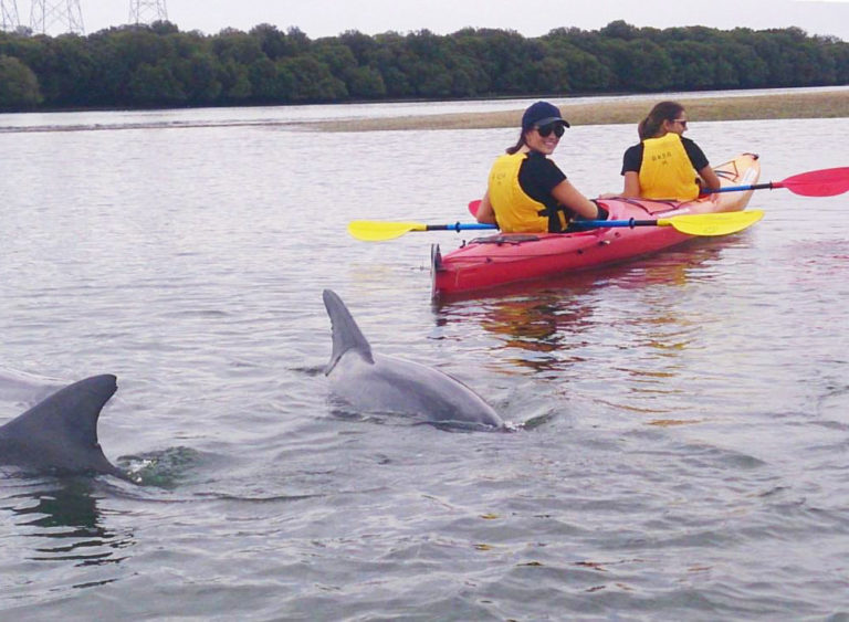 dolphins ships graveyard kayak1 768x563