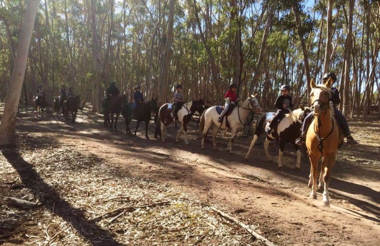 horse riding 210777 768x499