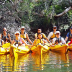 kayaks and canoes 90844 150x150