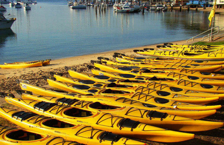 kayaks and canoes 90844c 768x499