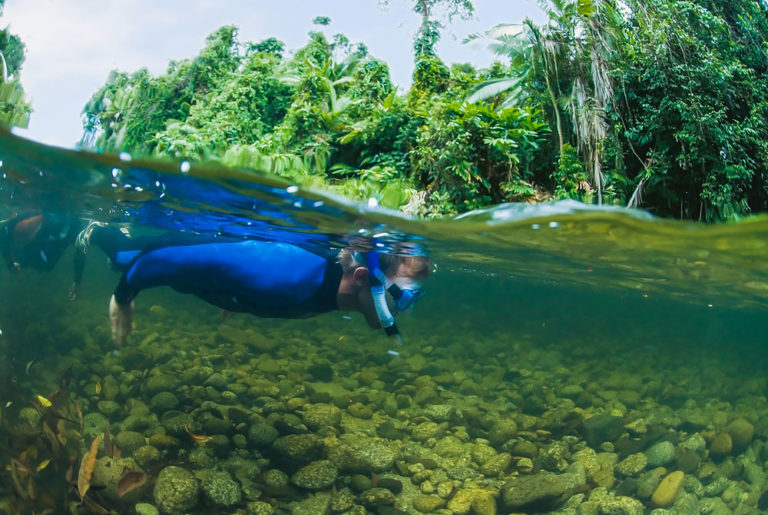 snorkeling and diving 111597 768x515