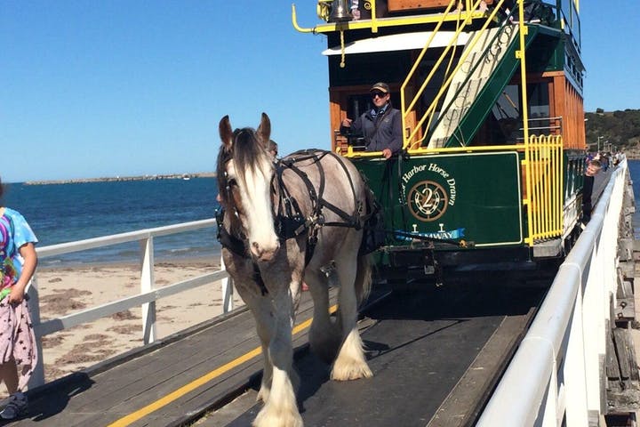 coach and train tours 336205a