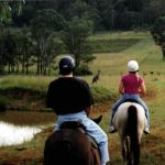 horse riding 63869b 150x150