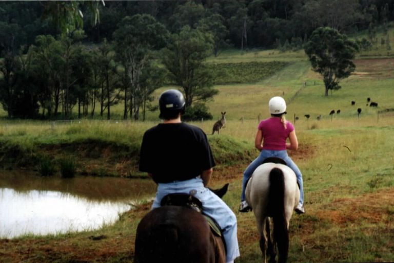 horse riding 63869b 768x514