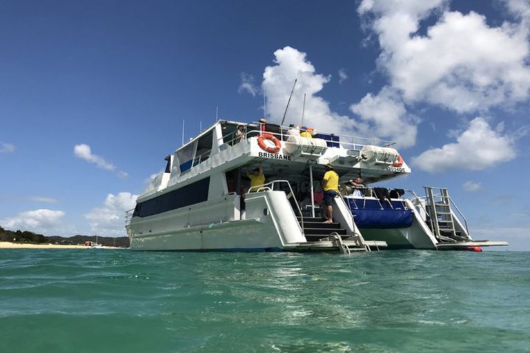 snorkeling and diving 295489 768x512