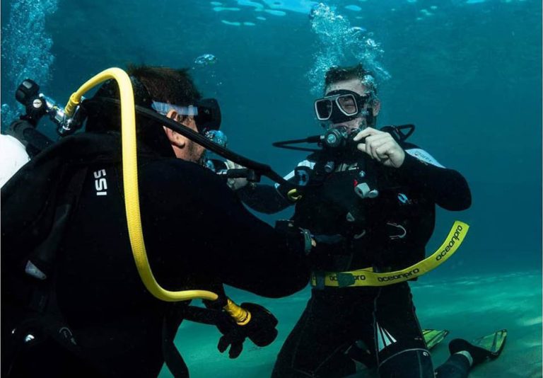 snorkeling and diving 121892b 768x534