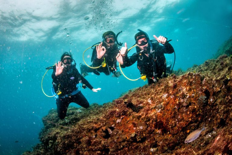 snorkeling and diving 158155 768x513